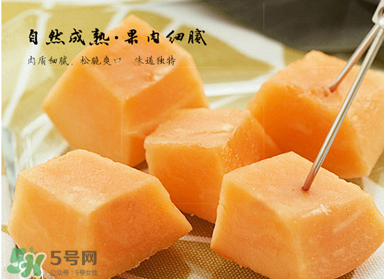 西州蜜瓜什么季節(jié)熟？西州蜜瓜幾月份成熟？