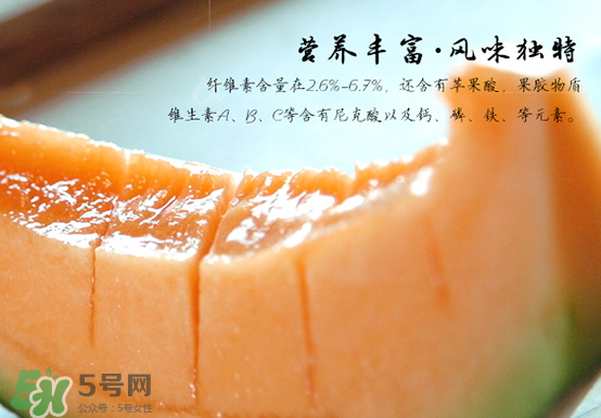 西州蜜瓜什么季節(jié)熟？西州蜜瓜幾月份成熟？