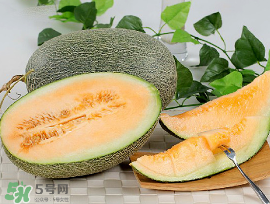 西州蜜瓜什么季節(jié)熟？西州蜜瓜幾月份成熟？