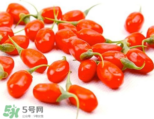 枸杞鮮果能吃嗎？鮮枸杞好還是干枸杞好
