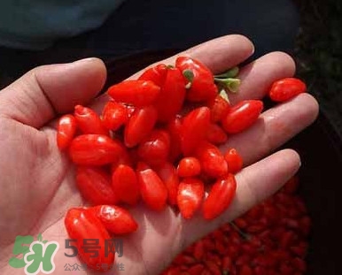 枸杞鮮果屬水果嗎？枸杞鮮果什么味道