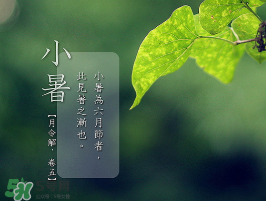 2017年小暑會下雨嗎？小暑這一天下雨好嗎？