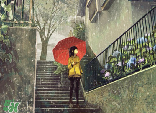 2017年小暑會下雨嗎？小暑這一天下雨好嗎？