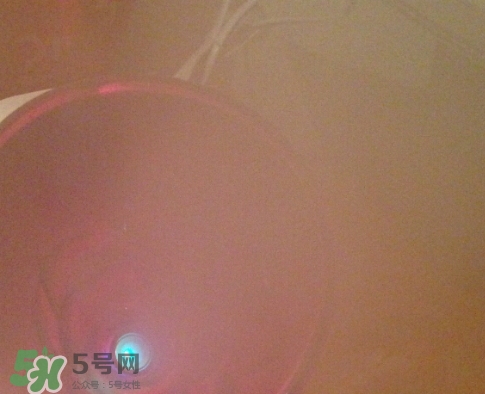 松下蒸臉器和金稻哪個好？松下蒸臉器和金稻蒸臉器對比
