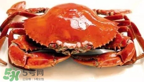 石夾紅螃蟹什么時(shí)候有？石夾紅螃蟹什么時(shí)候最肥