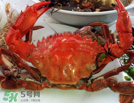 石夾紅螃蟹怎么吃？石夾紅螃蟹煮多久