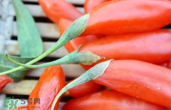 青海和寧夏枸杞哪個好？青海枸杞和寧夏枸杞的區(qū)別