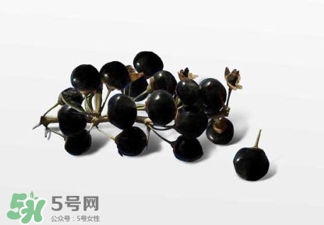 新鮮枸杞多少錢一斤？2017枸杞鮮果價格