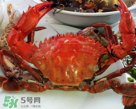 石夾紅螃蟹什么時(shí)候有？石夾紅螃蟹什么時(shí)候最肥