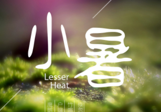 小暑是頭伏嗎？小暑是初伏嗎？