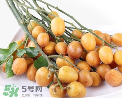 黃皮果是小金橘嗎？黃皮果和小金橘的區(qū)別