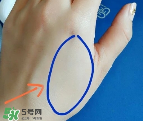 肌膚之食是什么牌子？肌膚之食讓我毀容了