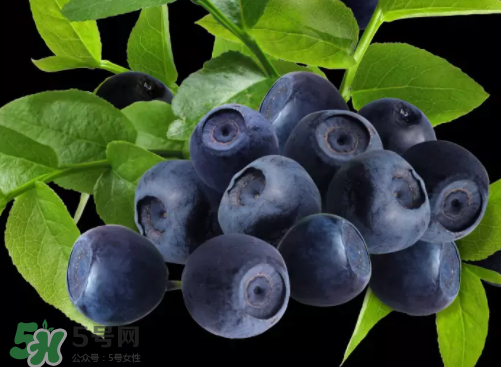 新鮮藍莓可以直接吃嗎？新鮮藍莓怎么吃才好吃？