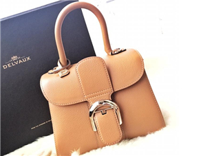 delvaux brilliant多少錢？德爾沃brilliant包包專柜價格