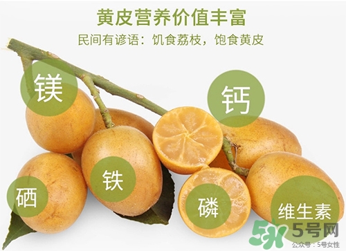 孕婦可以吃黃皮嗎？孕婦吃黃皮有什么好處