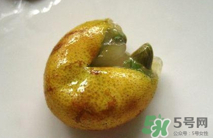 黃皮果核能治療什么??？黃皮核的功效與作用