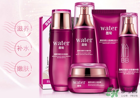 一枝春是什么牌子？一枝春化妝品怎么樣