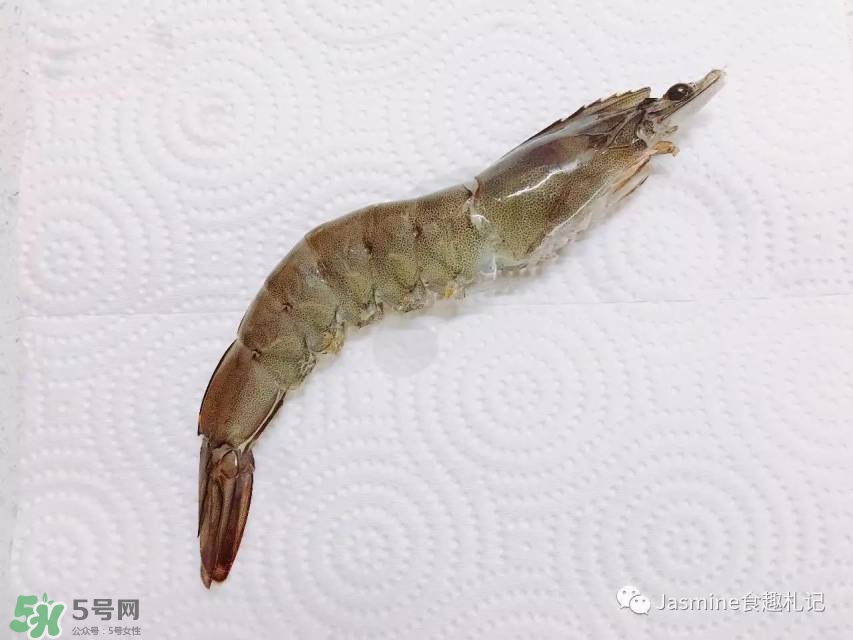 活基圍蝦怎么保存？活基圍蝦怎么處理干凈？