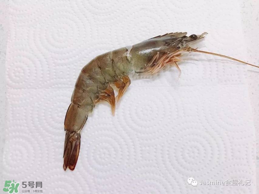 活基圍蝦怎么保存？活基圍蝦怎么處理干凈？