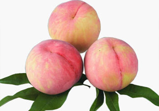 脆桃有什么營(yíng)養(yǎng)？脆桃的營(yíng)養(yǎng)價(jià)值