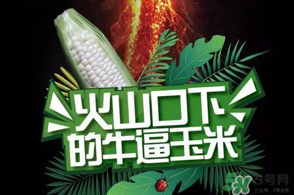 微玉冰糖玉米小孩可以吃嗎？微玉冰糖玉米營養(yǎng)豐富嗎？