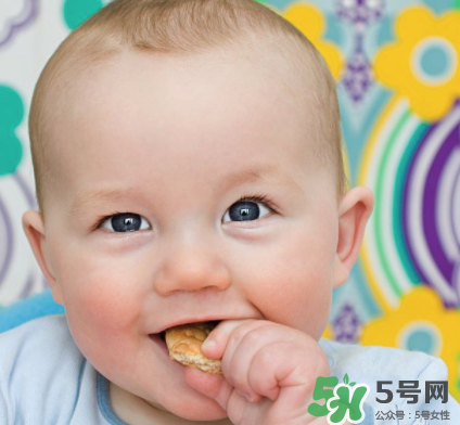 磨牙餅干吃不完怎么辦？磨牙餅干吃到多大？