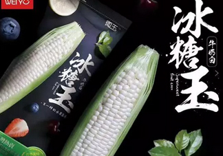 冰糖玉米?是轉(zhuǎn)基因嗎？冰糖玉米多少錢(qián)一斤？