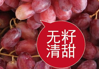 ?無(wú)籽紅提?孕婦能吃嗎吃嗎？孕婦能不能吃無(wú)籽紅提？