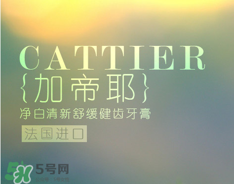 cattier加帝耶是什么牌子？法國(guó)cattier什么檔次？