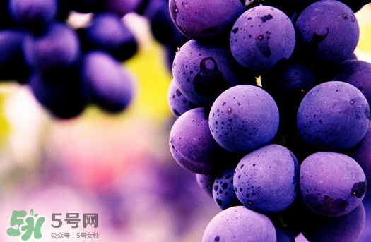 夏黑葡萄多少錢一斤？夏黑葡萄怎么挑選？
