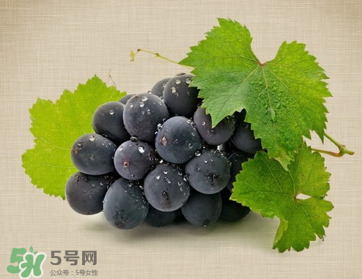 夏黑葡萄多少錢一斤？夏黑葡萄怎么挑選？