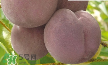 黑桃是什么水果？吃黑桃有什么好處？