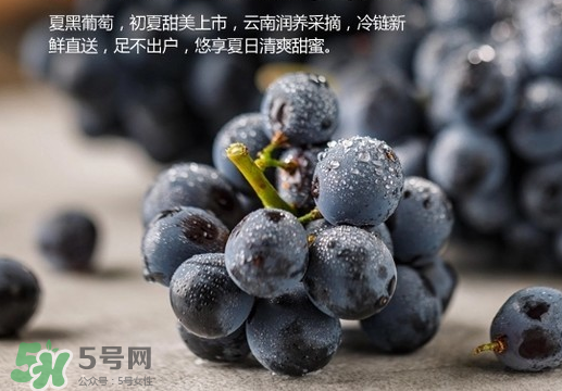 夏黑葡萄皮能吃嗎？夏黑葡萄怎么吃？