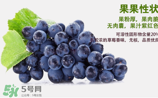 夏黑葡萄怎么洗？夏黑葡萄怎么洗才干凈？