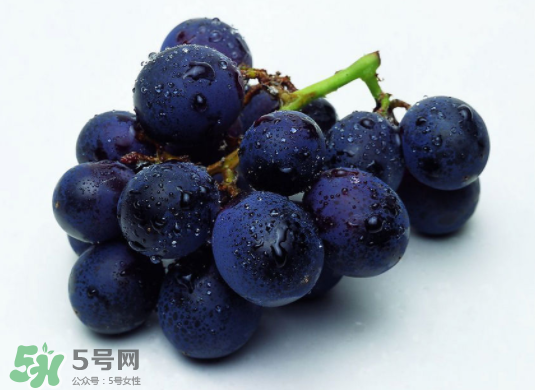 巨峰葡萄和葡萄有什么區(qū)別？巨峰葡萄是轉(zhuǎn)基因的嗎？