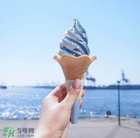 鯨鯊冰淇淋好吃嗎？鯨鯊冰淇淋多少錢？
