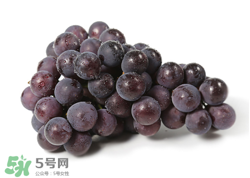 巨峰和夏黑哪個好吃？哪個貴？有什么區(qū)別？