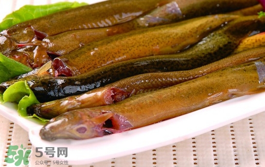 鰻魚是泥鰍嗎？鰻魚與泥鰍什么區(qū)別