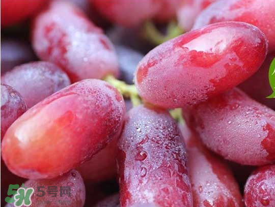 ?無(wú)籽紅提?孕婦能吃嗎吃嗎？孕婦能不能吃無(wú)籽紅提？