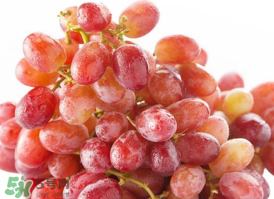 ?無(wú)籽紅提?孕婦能吃嗎吃嗎？孕婦能不能吃無(wú)籽紅提？