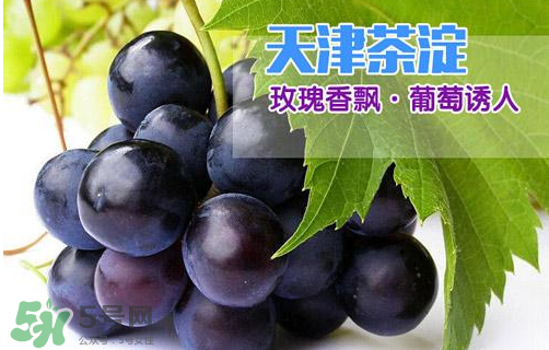 玫瑰香葡萄多少錢一斤？玫瑰香葡萄多少錢一斤2017？