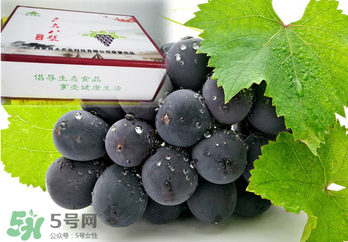 戶太八號(hào)葡萄什么時(shí)候套袋？戶太八號(hào)葡萄什么月份套袋？