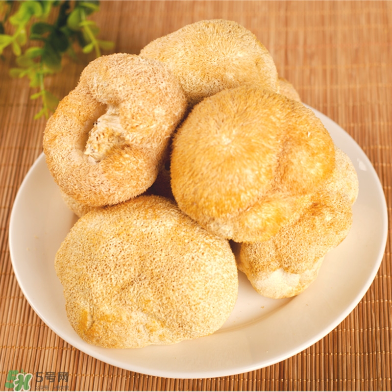 猴頭菇怎樣吃治胃??？猴頭菇能治胃病嗎？