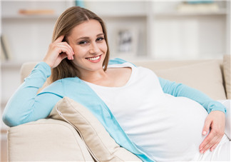 篙苞孕婦能吃嗎？孕婦能不能吃篙苞？
