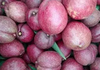 黑桃是什么水果？吃黑桃有什么好處？