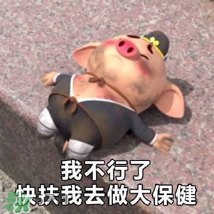 豬小屁表情包是什么？豬小屁表情包為什么這么火？