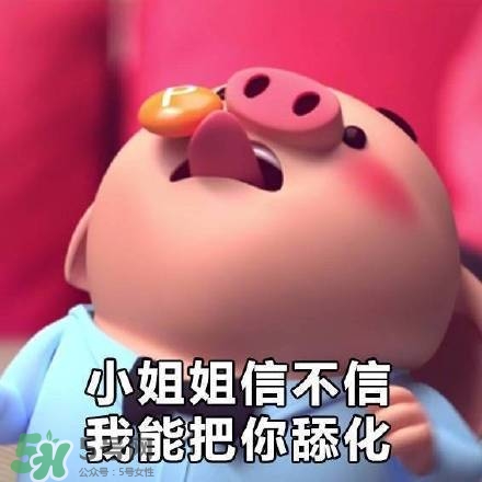 豬小屁表情包是什么？豬小屁表情包為什么這么火？