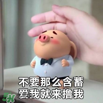 豬小屁表情包是什么？豬小屁表情包為什么這么火？