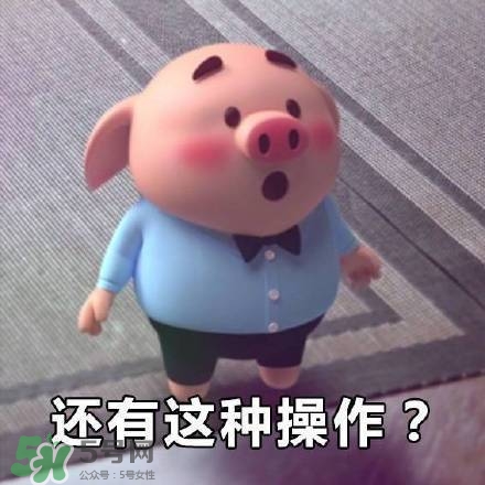 豬小屁表情包是什么？豬小屁表情包為什么這么火？