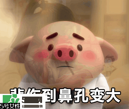 豬小屁多少錢一個？豬小屁哪里可以買到